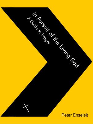Cover of In Pursuit of the Living God