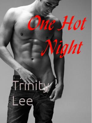 Cover of the book One Hot Night by Emma Darcy