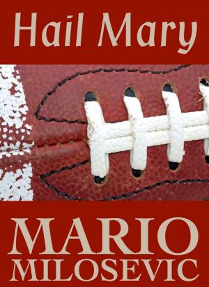 Cover of the book Hail Mary by Kim Antieau