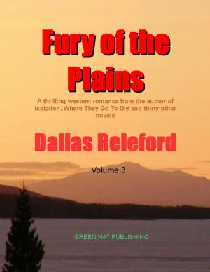 bigCover of the book Fury of the Plains by 