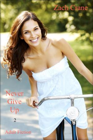 bigCover of the book Never Give Up 2 by 