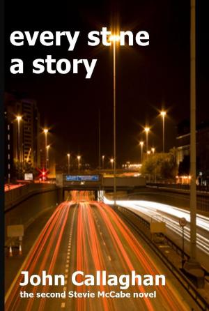 Cover of Every Stone A Story