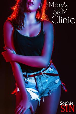 Cover of Mary's S&M Clinic