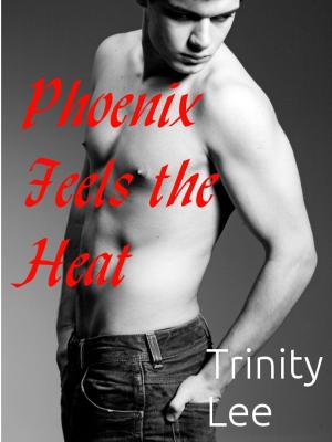 Cover of the book Phoenix Feels the Heat (MM) by Trinity Lee