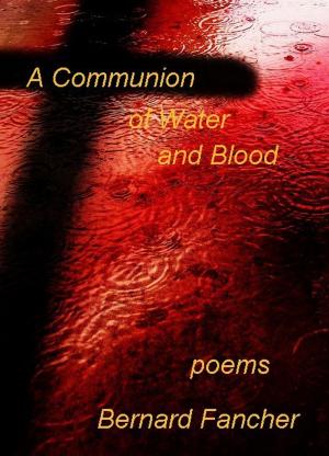 Book cover of A Communion of Water and Blood