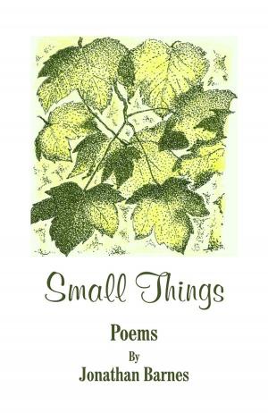 Cover of the book Small Things by William Butler Yeats