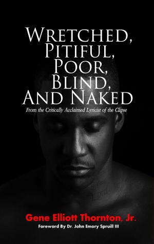 Cover of the book Wretched, Pitiful, Poor, Blind and Naked by John Anson