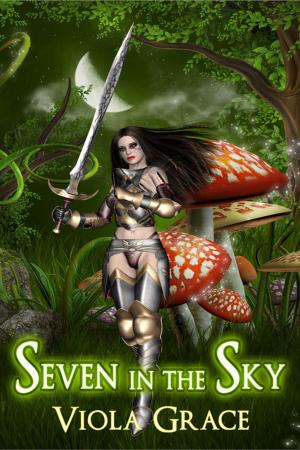 Cover of the book Seven in the Sky by Fawn Lowery