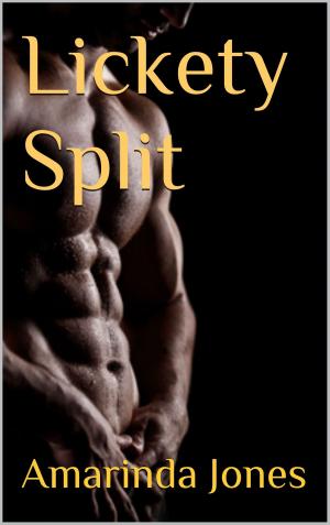 Cover of the book Lickety Split by Amarinda Jones