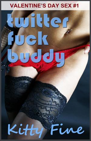 Cover of the book Twitter Fuck Buddy: Erotica Story #1: Valentine's Day Sex Sluts Stories Series by Francine Craft