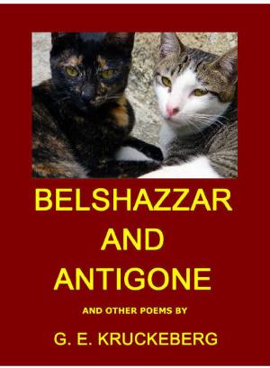 Book cover of Belshazzar and Antigone