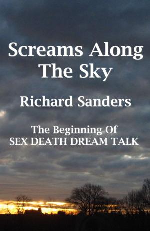 Book cover of Screams Along The Sky