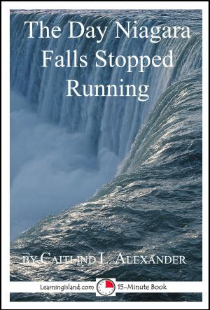 Book cover of The Day Niagara Falls Stopped Running: A 15-Minute Strange But True Tale