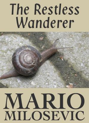 Book cover of The Restless Wanderer