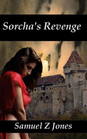 Cover of the book Sorcha's Revenge by Johann von Staubig
