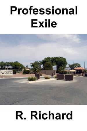 Cover of the book Professional Exile by Jim Cherry