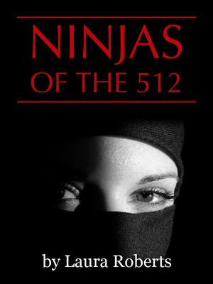 Book cover of Ninjas of the 512