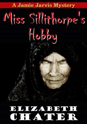 Book cover of Miss Sillithorpe's Hobby