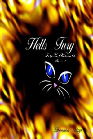 Cover of the book Hell's Fury by Violette Meier