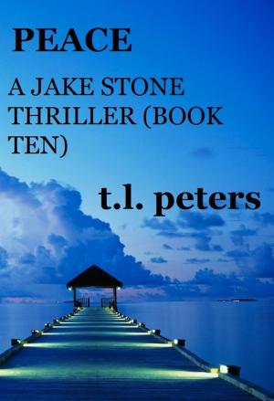 Cover of the book Peace, A Jake Stone Thriller (Book Ten) by Robert Hughes
