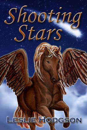 bigCover of the book Shooting Stars by 