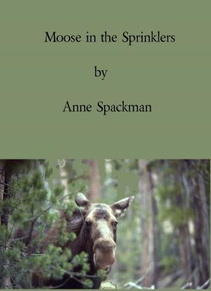Book cover of Moose in the Sprinklers