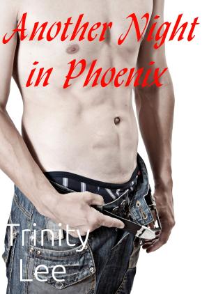 Cover of the book Another Night in Phoenix by Trinity Lee
