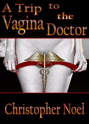 Book cover of A Trip to the Vagina Doctor