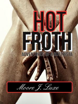 Cover of the book Hot Froth: Adventures of a Buttrista by V. L. Cooke