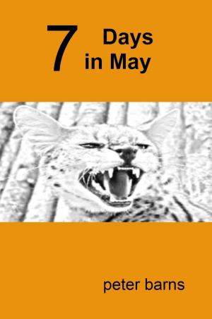 bigCover of the book 7 Days In May by 