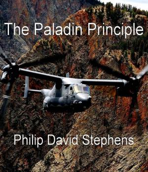 Book cover of The Paladin Principle