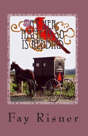 Book cover of As Her Name Is So Is Redbird-book 4-Nurse Hal Among The Amish