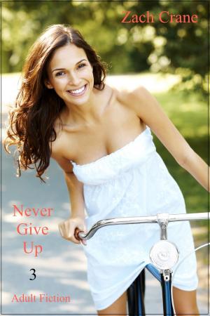 Cover of the book Never Give Up 3 by Eireann Shells