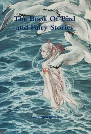Book cover of The Book of Bird and Fairy Stories