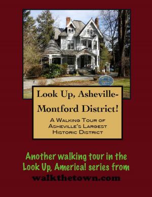 Book cover of Look Up, Asheville! A Walking Tour of the Montford District
