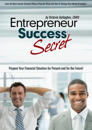 Book cover of Entrepreneur Success Secret
