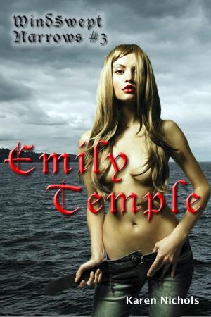 bigCover of the book WindSwept Narrows: #3 Emily Temple by 