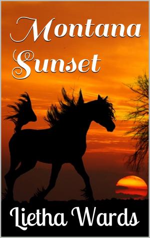 Cover of the book Montana Sunset by Lietha Wards