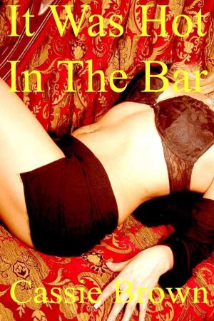 Cover of the book It Was Hot In The Bar by Sabrina Z. Reynolds