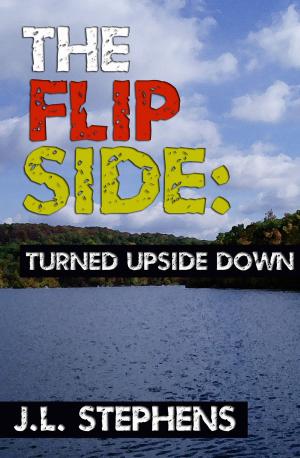 Cover of The Flip Side #4: Turned Upside Down