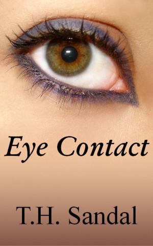 Cover of the book Eye Contact by Joel Bowers
