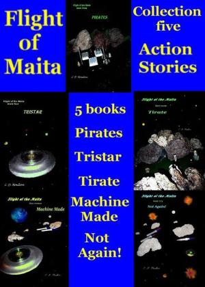 Book cover of Maita Collection Five: Action Stories