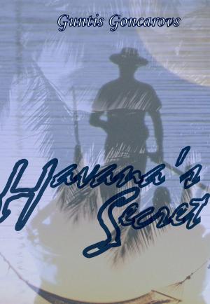 Cover of the book Havana's Secret by Elvin Post