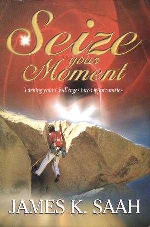 Book cover of Seize your Moment