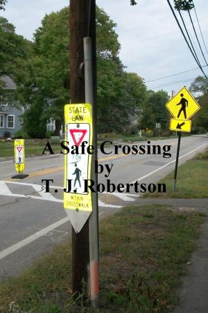 Cover of the book A Safe Crossing by T. J. Robertson