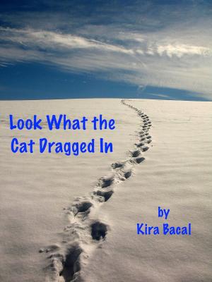Cover of the book Look What the Cat Dragged In by Bouffanges