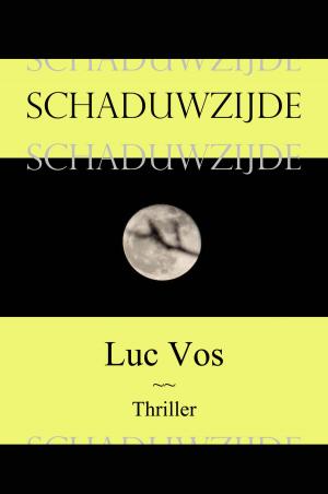 Cover of the book Schaduwzijde by Gérard de Villiers