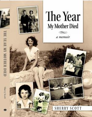 Book cover of The Year My Mother Died