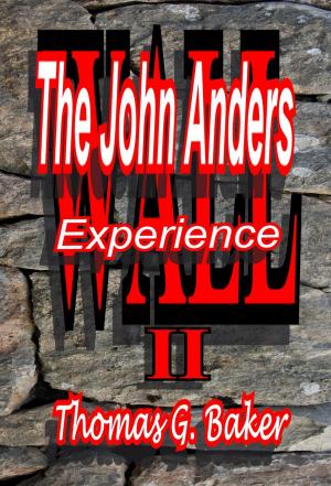 bigCover of the book WALL II The John Anders Experience by 