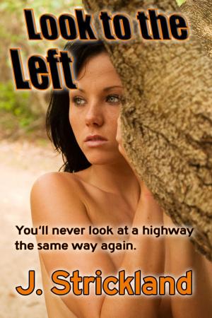 Cover of the book Look to the Left by J. Strickland